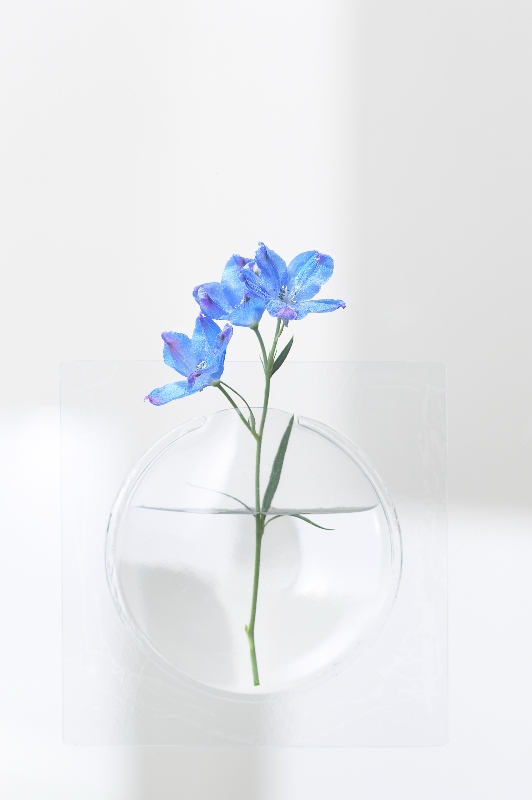 vaso decorativo moderno per finestre e specchi